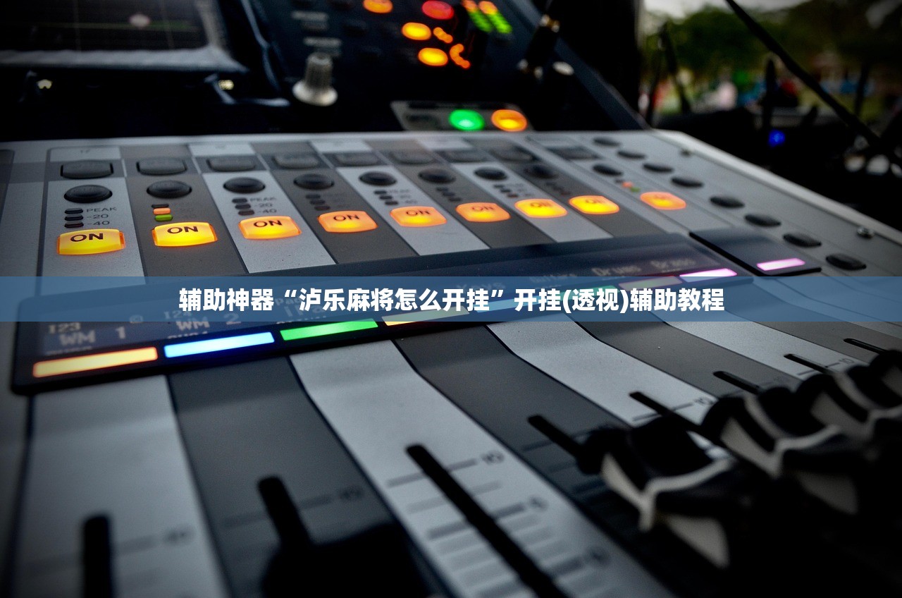 辅助神器“泸乐麻将怎么开挂”开挂(透视)辅助教程