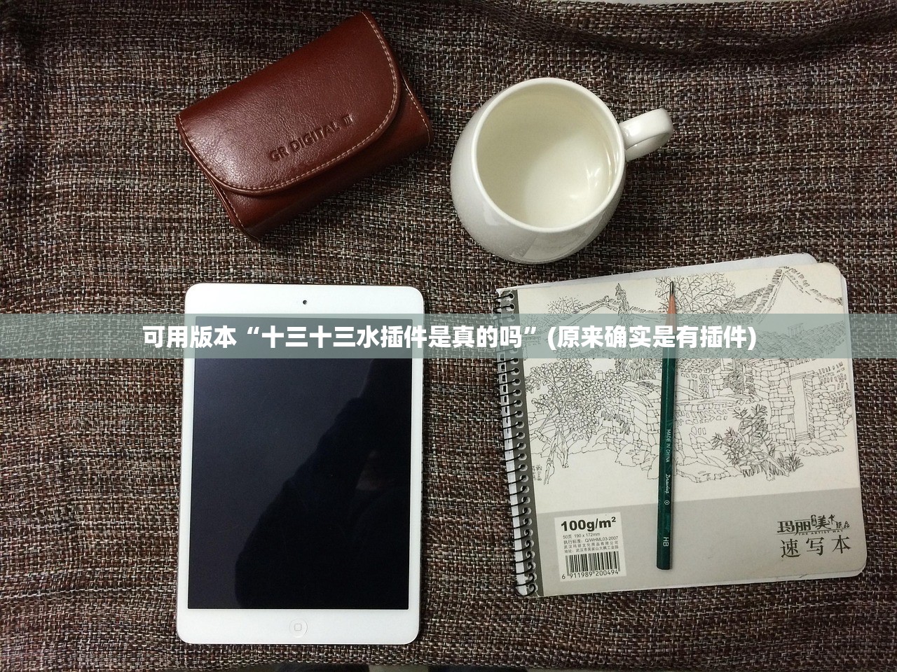 可用版本“十三十三水插件是真的吗”(原来确实是有插件)
