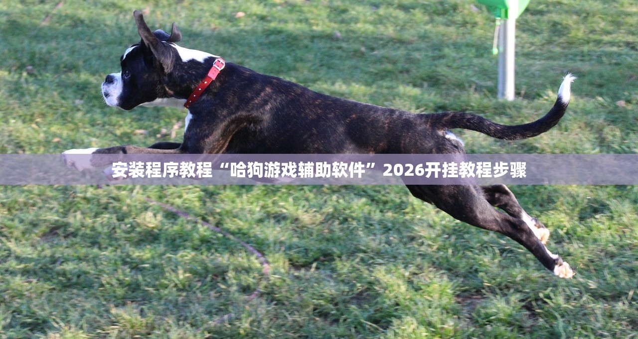 安装程序教程“哈狗游戏辅助软件	”2026开挂教程步骤