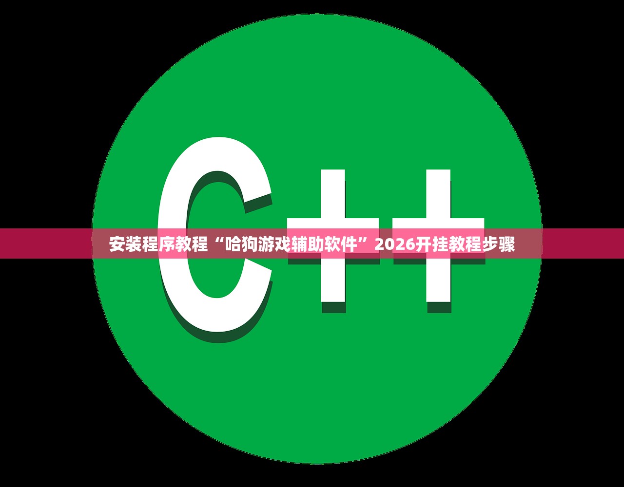 安装程序教程“哈狗游戏辅助软件”2026开挂教程步骤