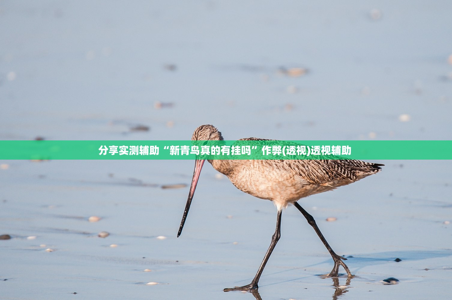 分享实测辅助“新青鸟真的有挂吗	”作弊(透视)透视辅助 