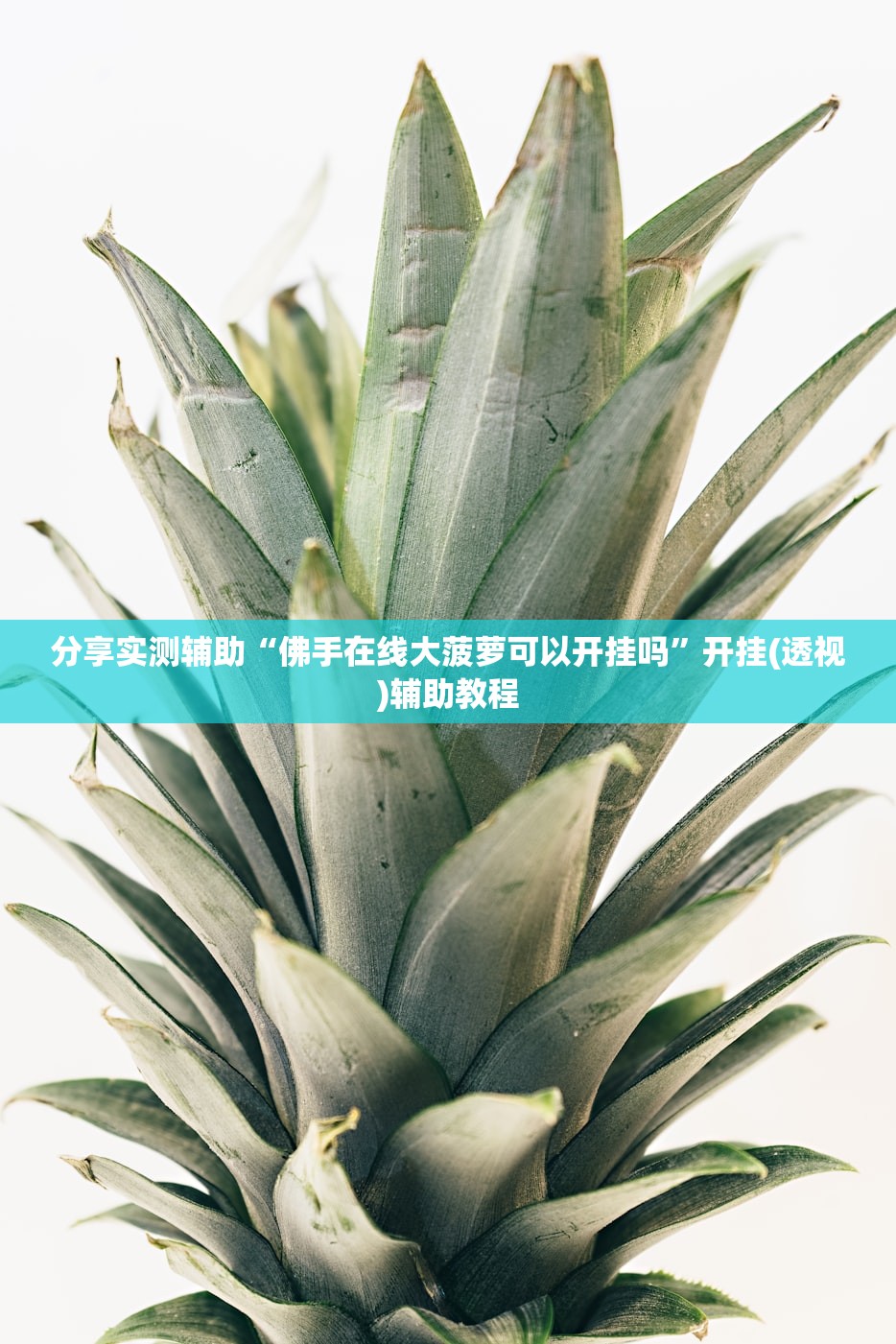 分享实测辅助“佛手在线大菠萝可以开挂吗”开挂(透视)辅助教程