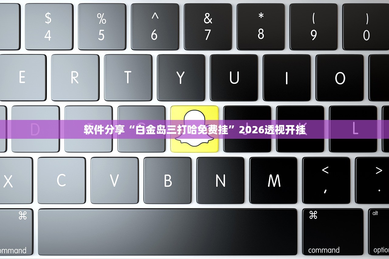 软件分享“白金岛三打哈免费挂”2026透视开挂