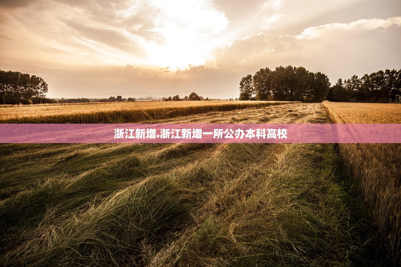 浙江新增.浙江新增一所公办本科高校 浙江新增.浙江新增一所公办本科高校