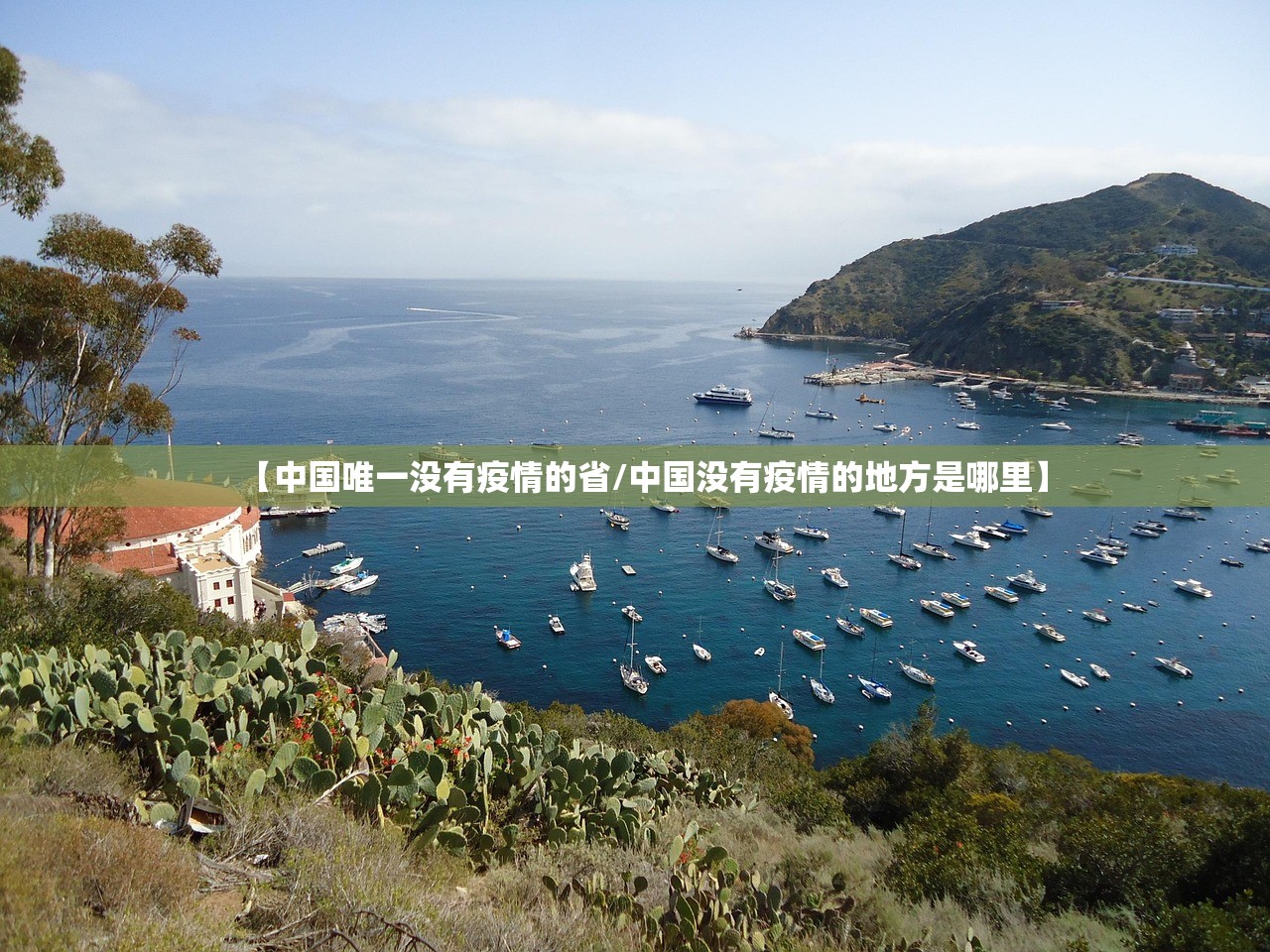 【中国唯一没有疫情的省/中国没有疫情的地方是哪里】
