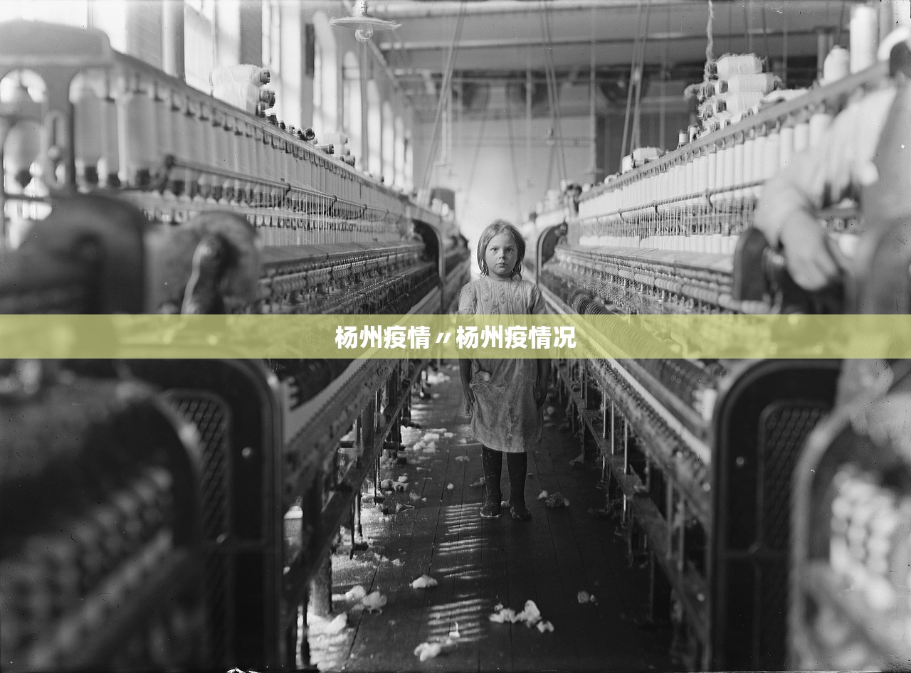 杨州疫情〃杨州疫情况