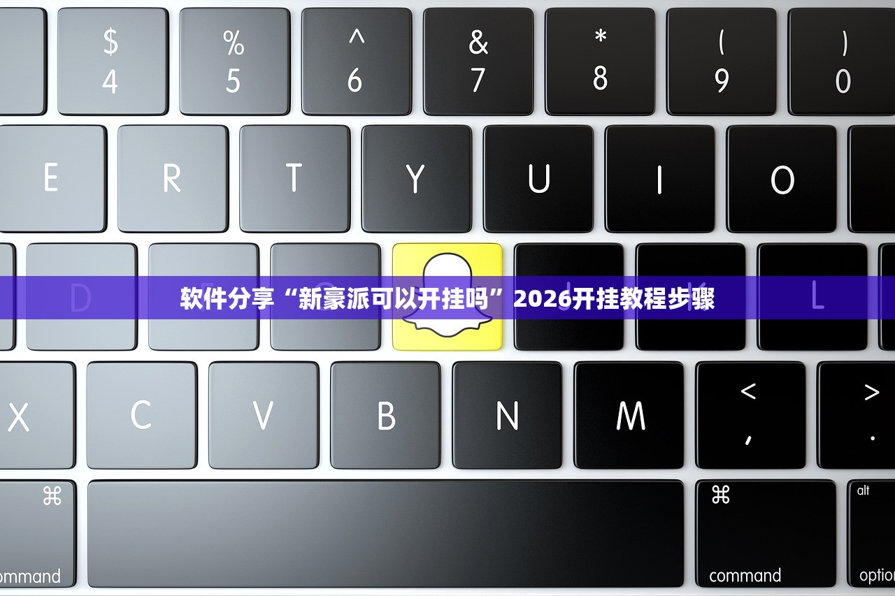 软件分享“新豪派可以开挂吗”2026开挂教程步骤