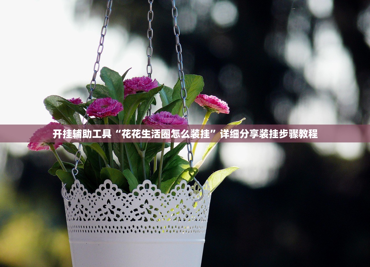 开挂辅助工具“花花生活圈怎么装挂”详细分享装挂步骤教程