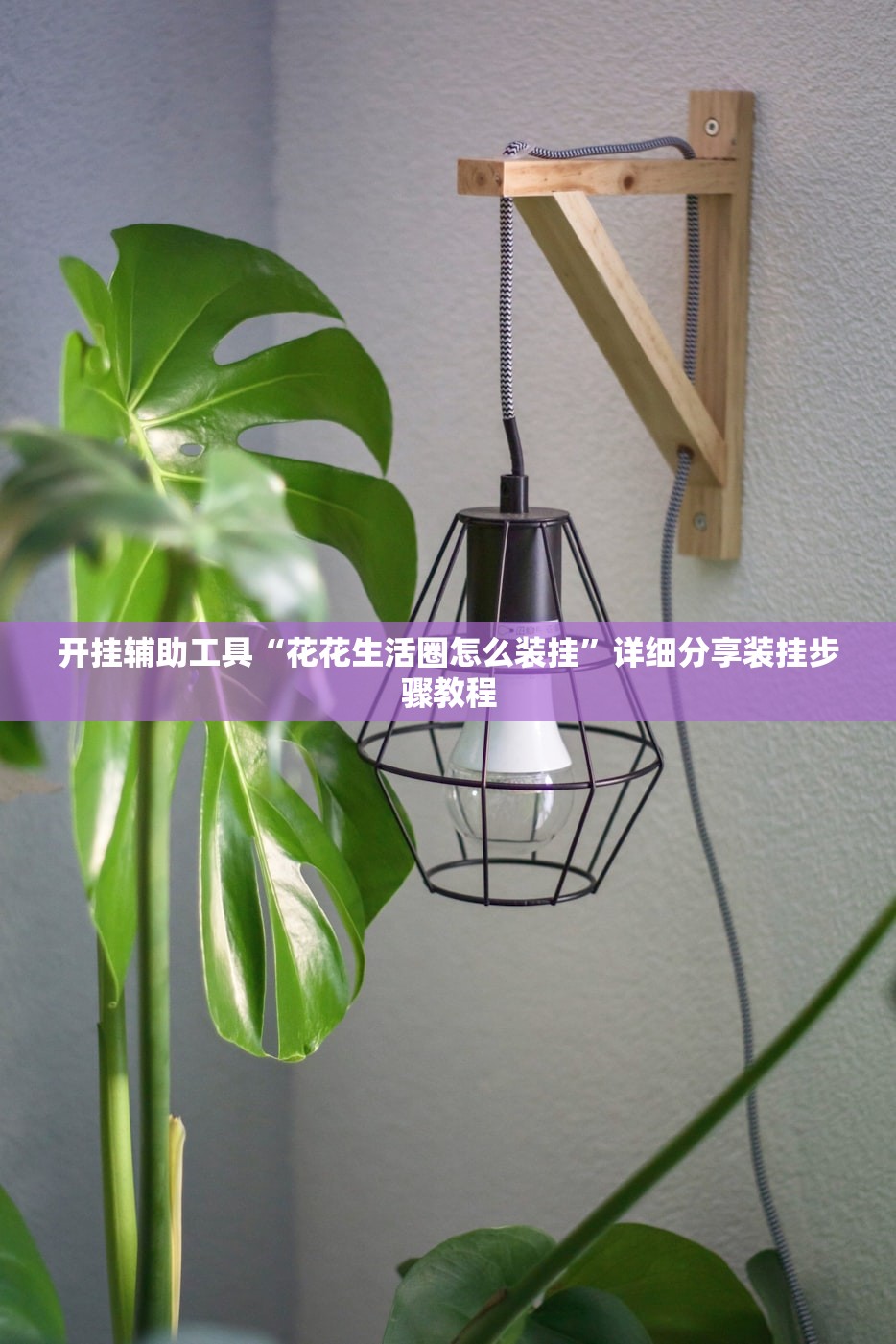 开挂辅助工具“花花生活圈怎么装挂”详细分享装挂步骤教程