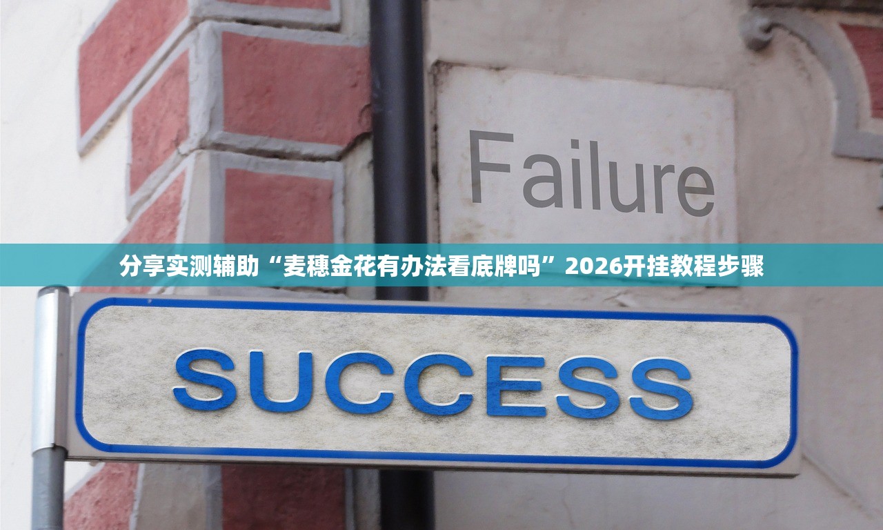 分享实测辅助“麦穗金花有办法看底牌吗”2026开挂教程步骤