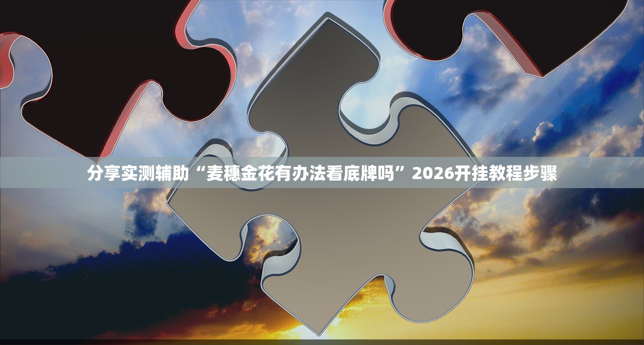 分享实测辅助“麦穗金花有办法看底牌吗	”2026开挂教程步骤