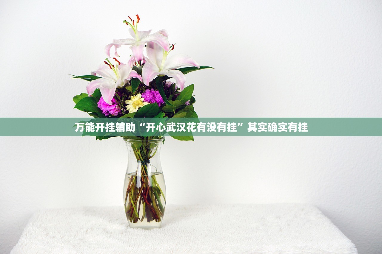 万能开挂辅助“开心武汉花有没有挂	”其实确实有挂