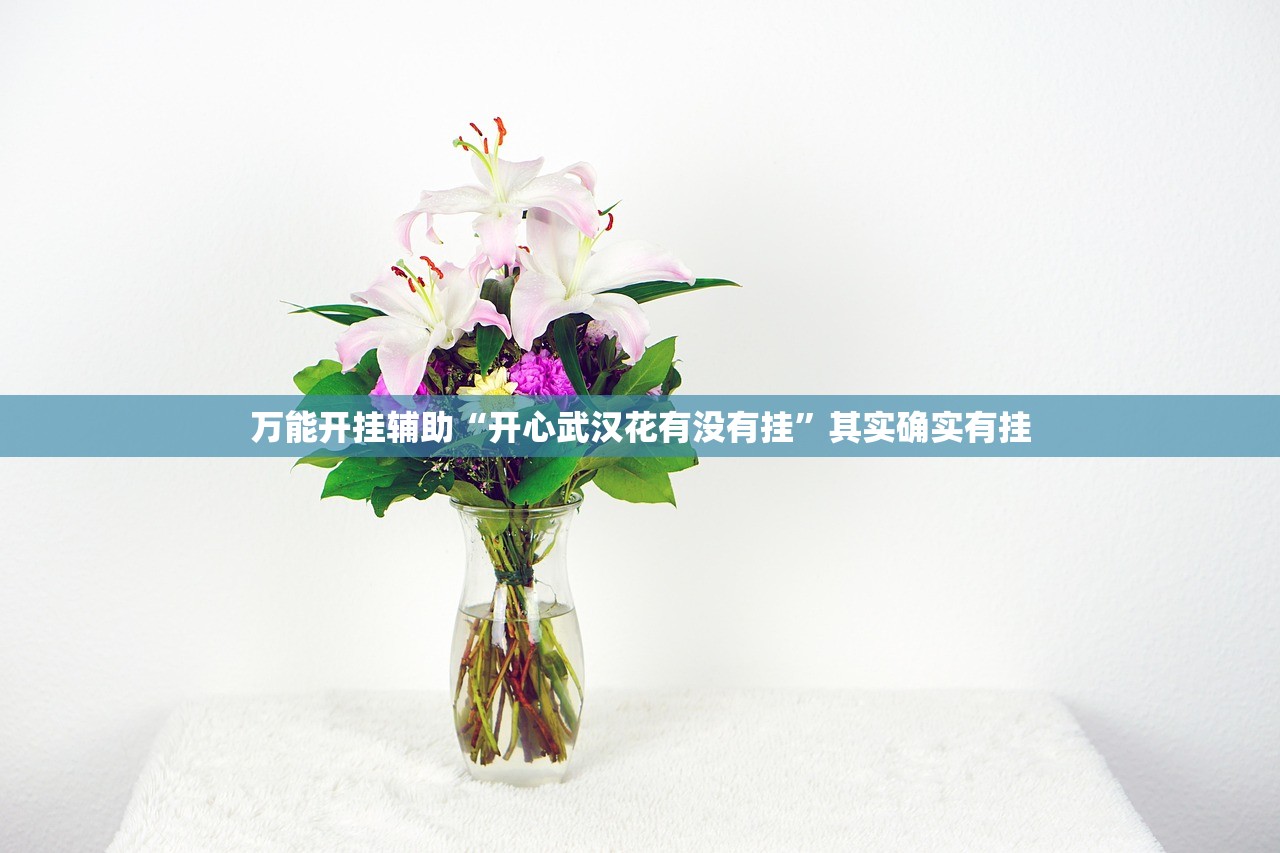 万能开挂辅助“开心武汉花有没有挂”其实确实有挂