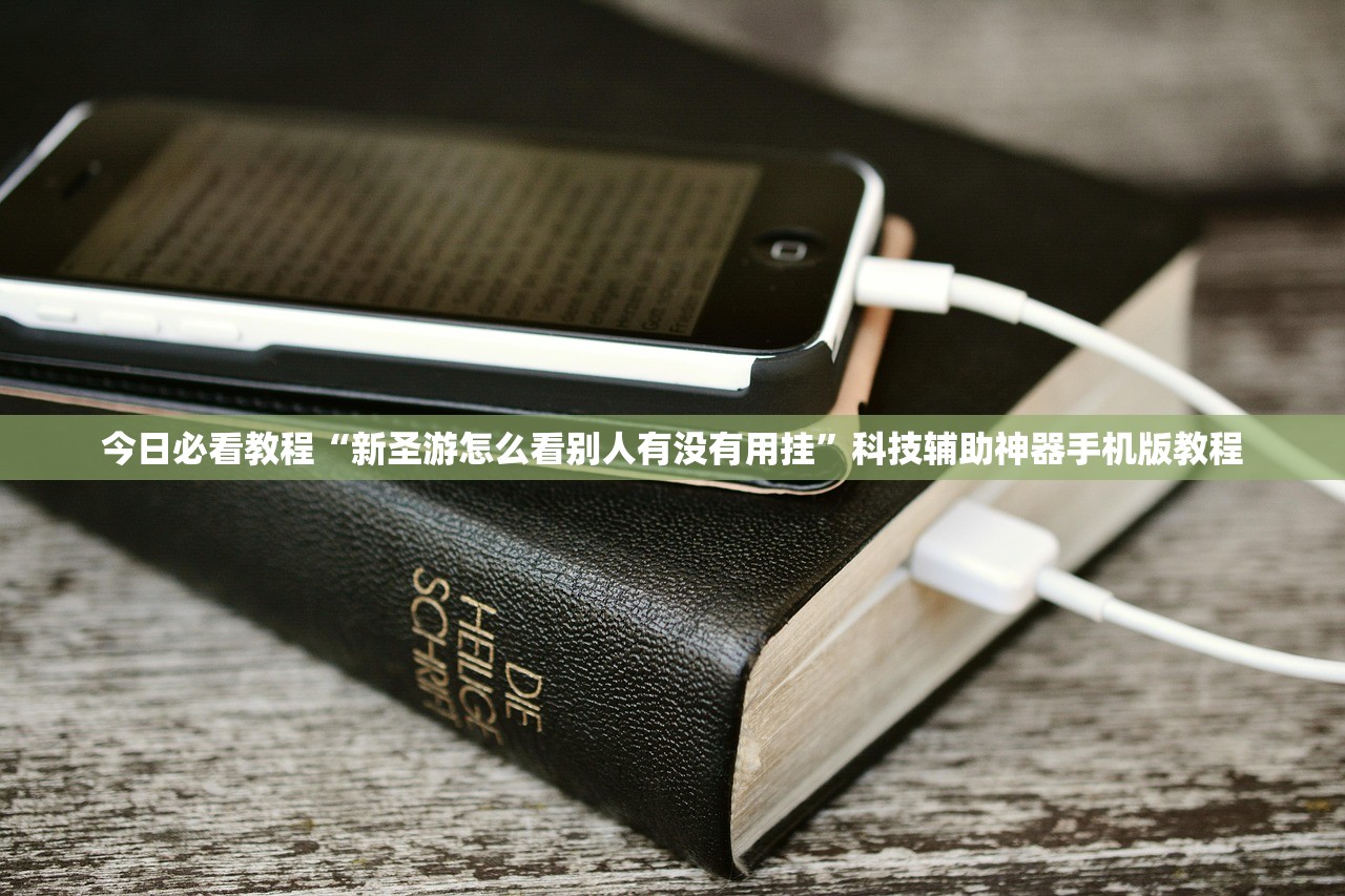今日必看教程“新圣游怎么看别人有没有用挂”科技辅助神器手机版教程