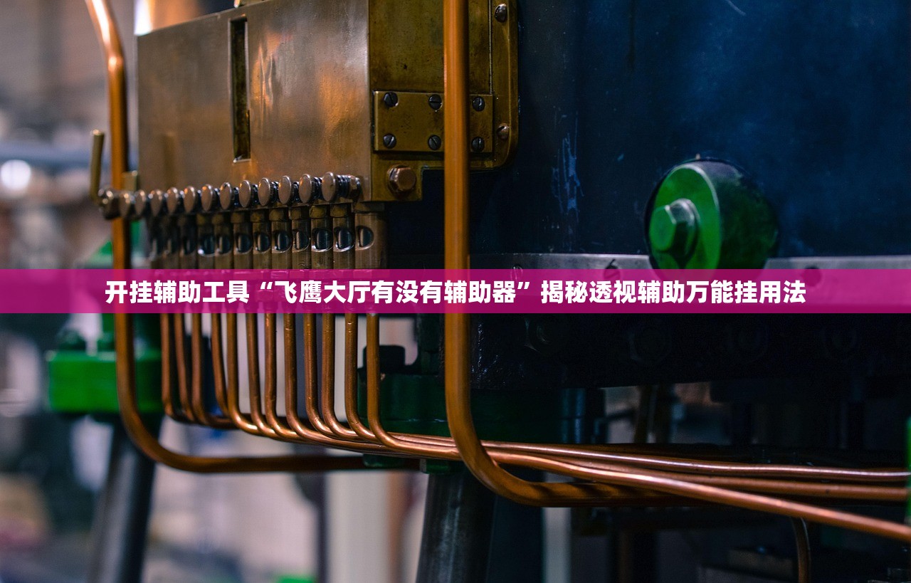 开挂辅助工具“飞鹰大厅有没有辅助器”揭秘透视辅助万能挂用法