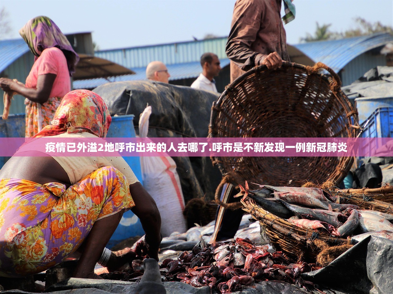 疫情已外溢2地呼市出来的人去哪了.呼市是不新发现一例新冠肺炎 疫情已外溢2地呼市出来的人去哪了.呼市是不新发现一例新冠肺炎