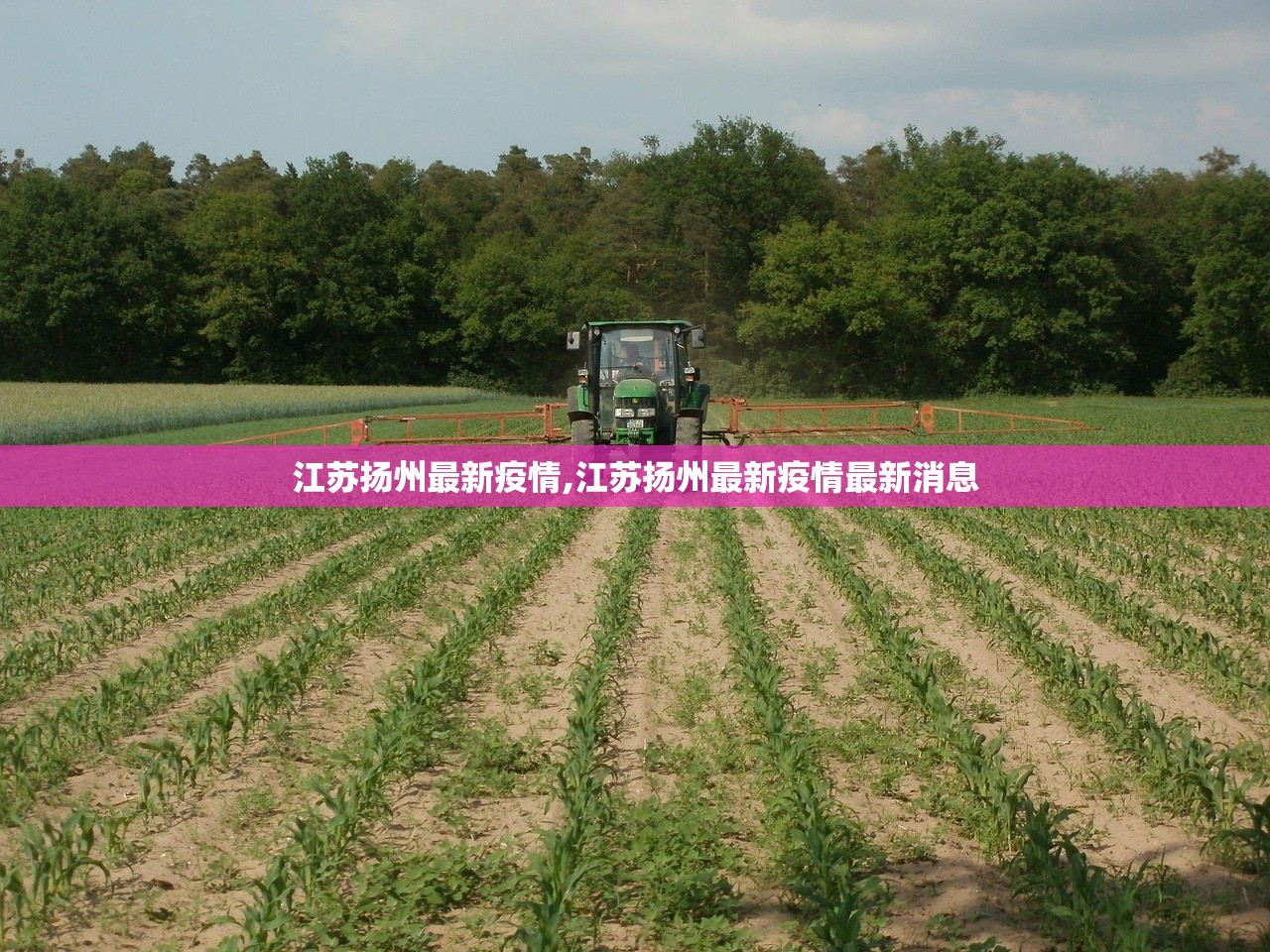 江苏扬州最新疫情,江苏扬州最新疫情最新消息