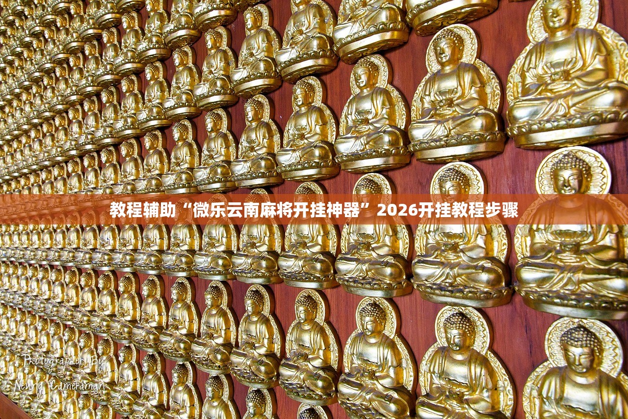 教程辅助“微乐云南麻将开挂神器”2026开挂教程步骤