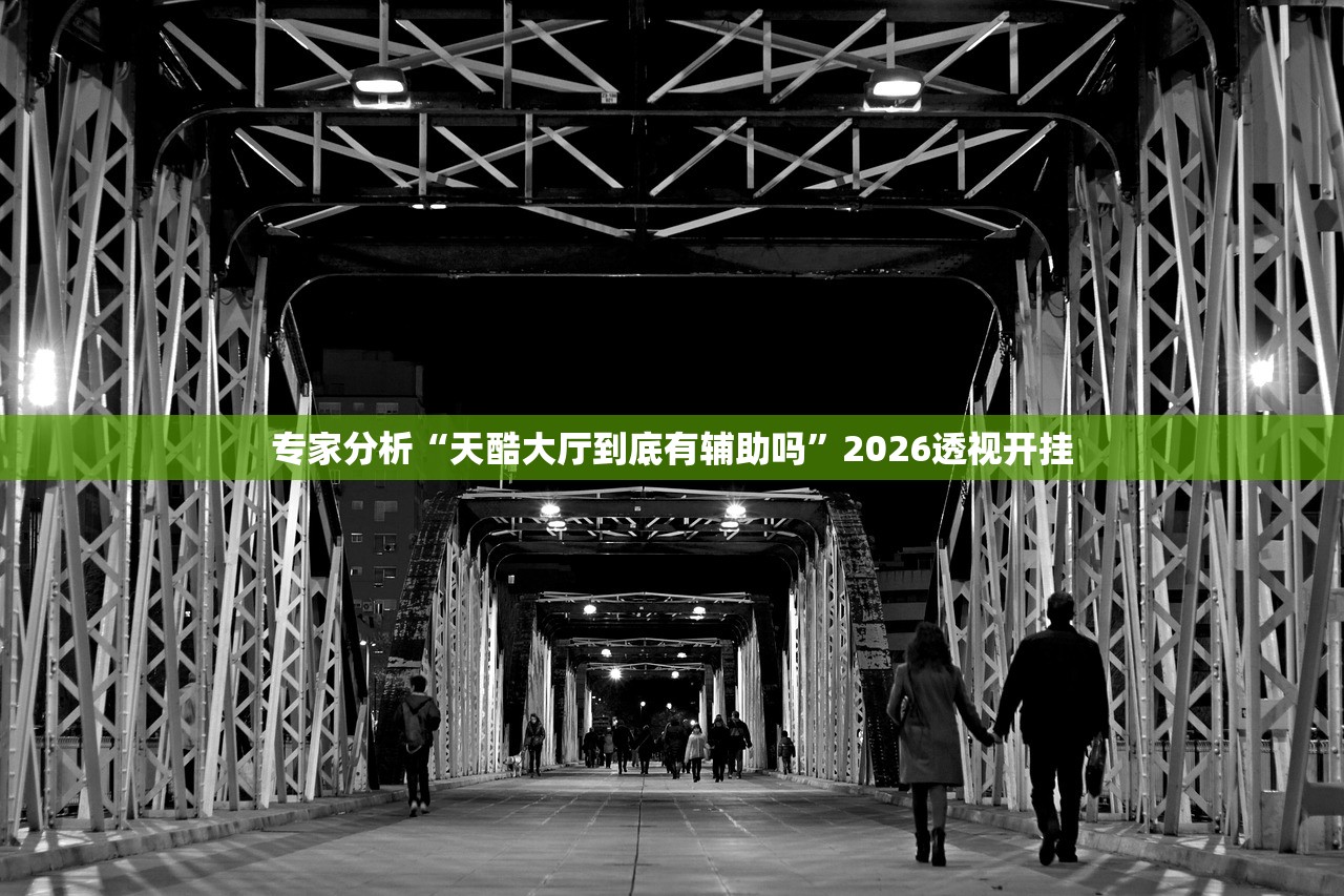 专家分析“天酷大厅到底有辅助吗”2026透视开挂