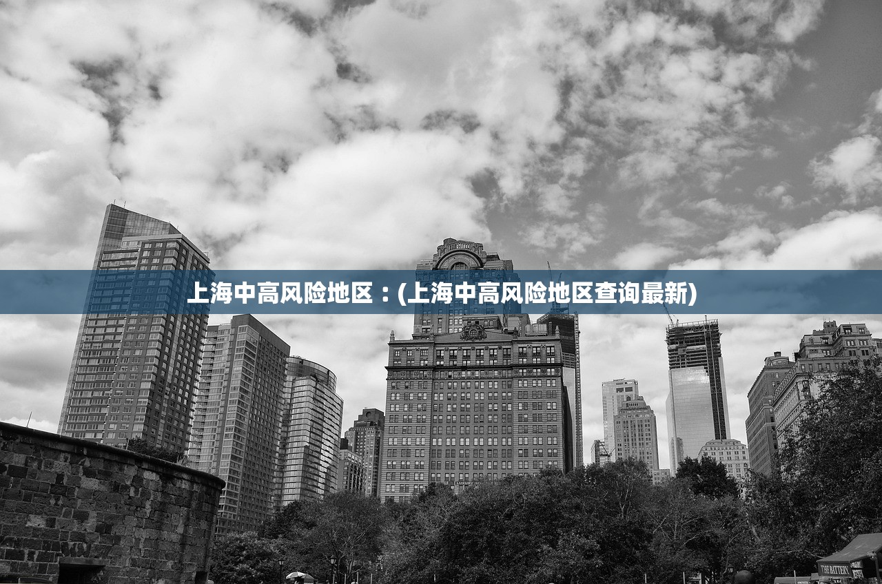 上海中高风险地区︰(上海中高风险地区查询最新)