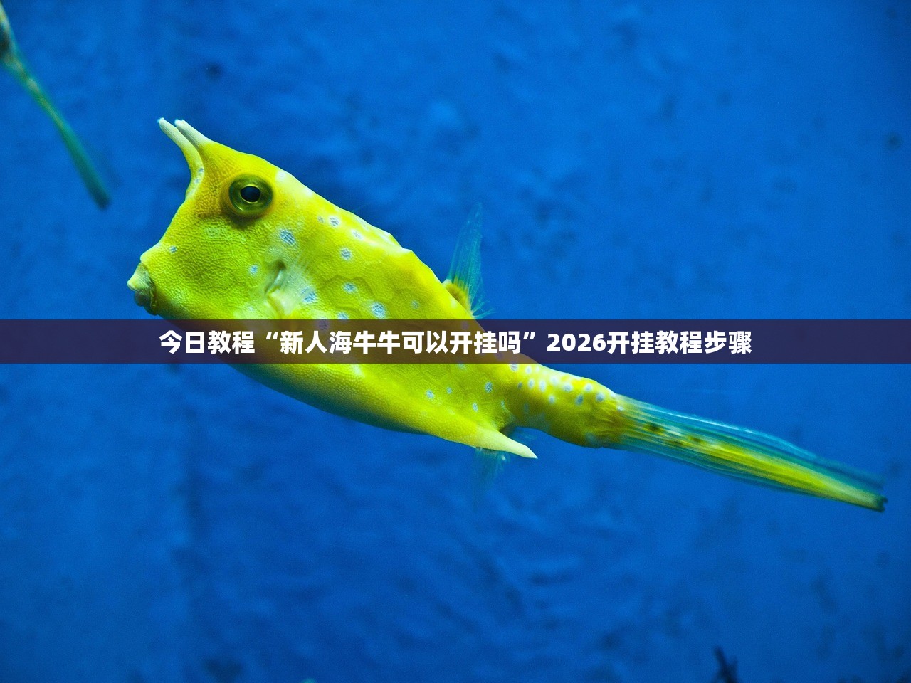 今日教程“新人海牛牛可以开挂吗	”2026开挂教程步骤