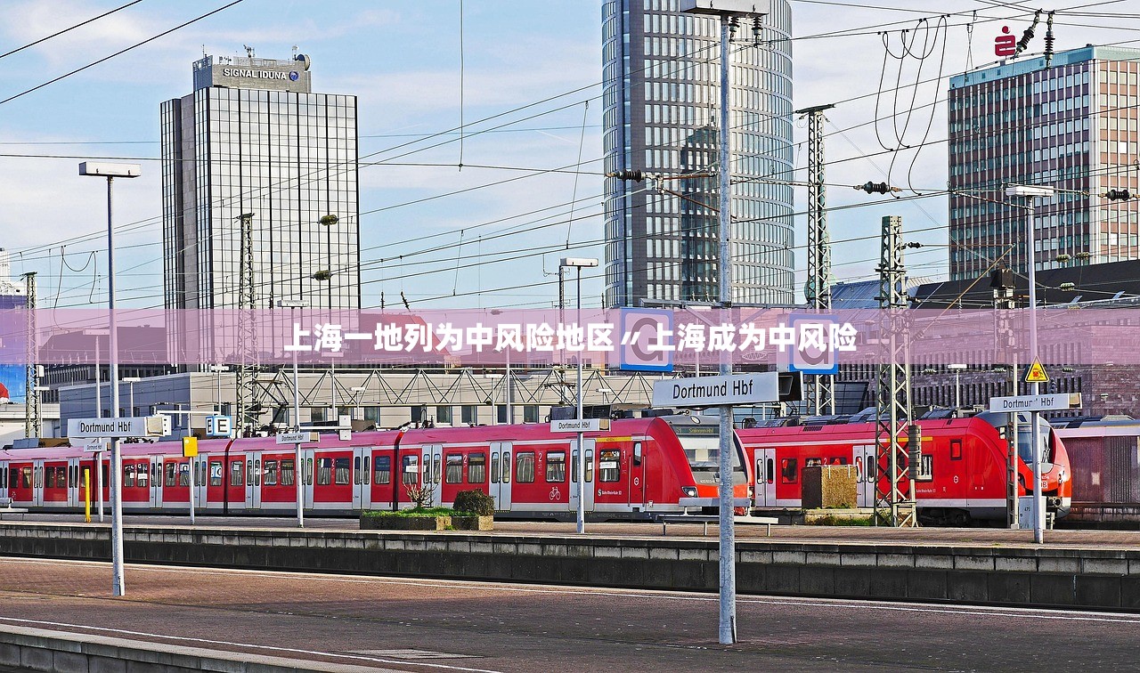 上海一地列为中风险地区〃上海成为中风险