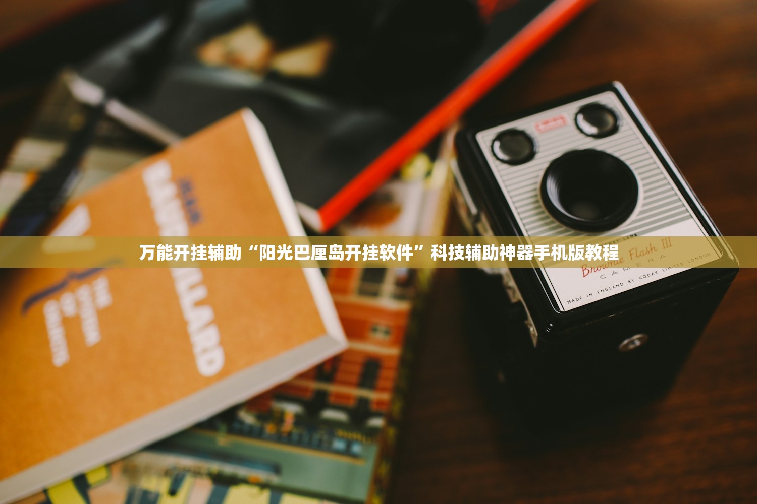 万能开挂辅助“阳光巴厘岛开挂软件”科技辅助神器手机版教程