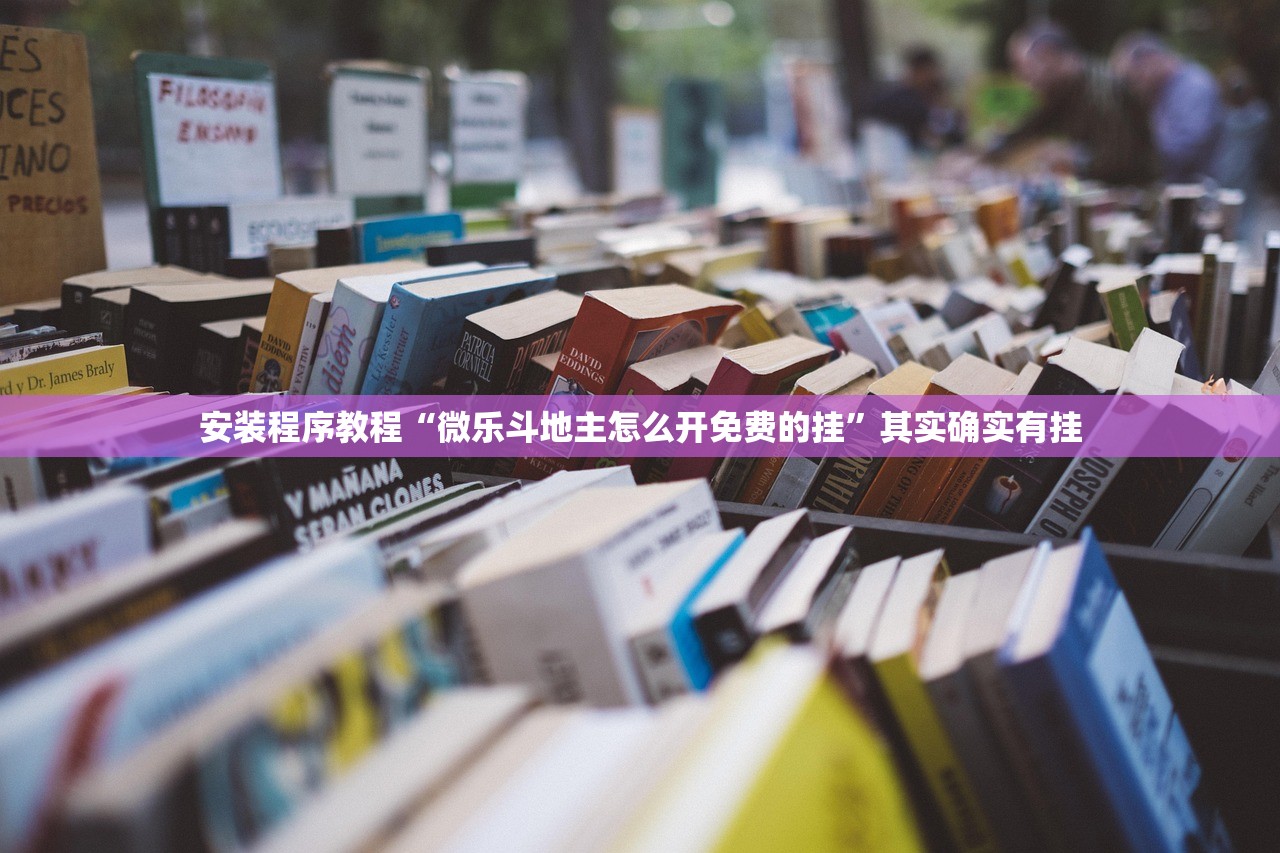 安装程序教程“微乐斗地主怎么开免费的挂”其实确实有挂