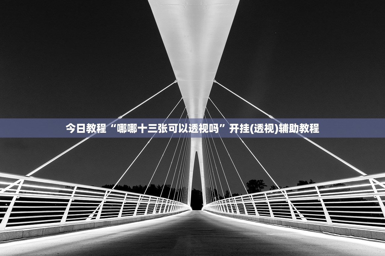 今日教程“哪哪十三张可以透视吗”开挂(透视)辅助教程