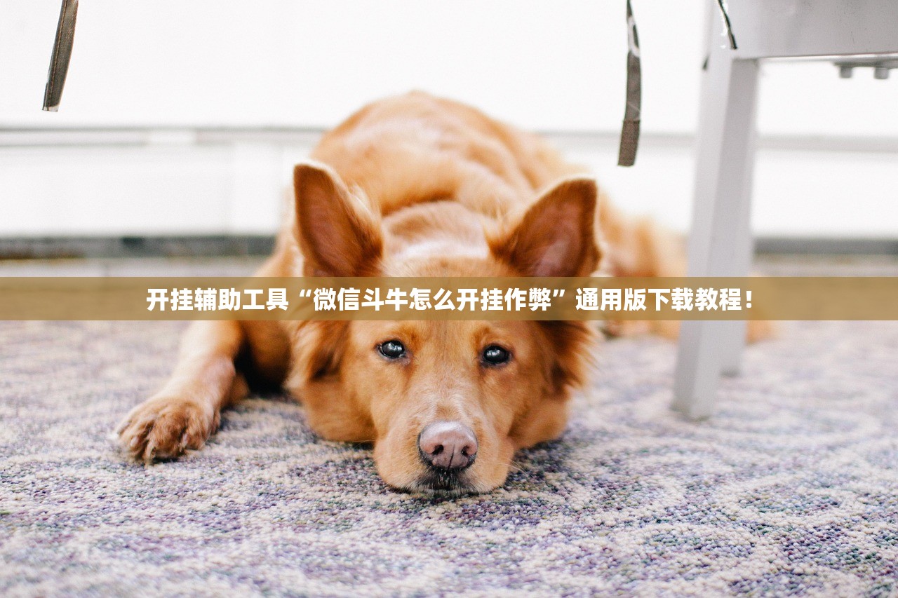 开挂辅助工具“微信斗牛怎么开挂作弊	”通用版下载教程！