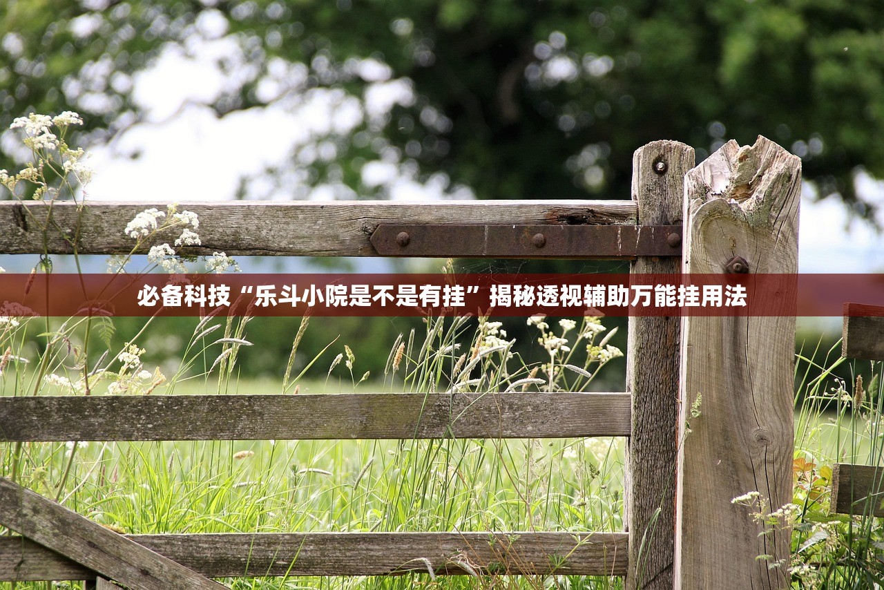 必备科技“乐斗小院是不是有挂”揭秘透视辅助万能挂用法