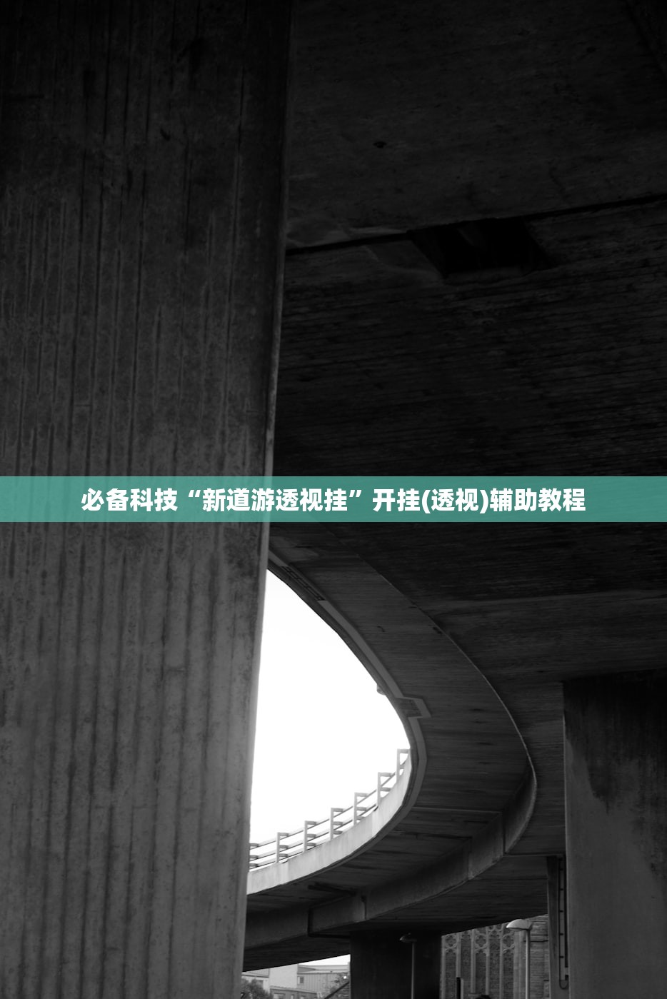 必备科技“新道游透视挂”开挂(透视)辅助教程