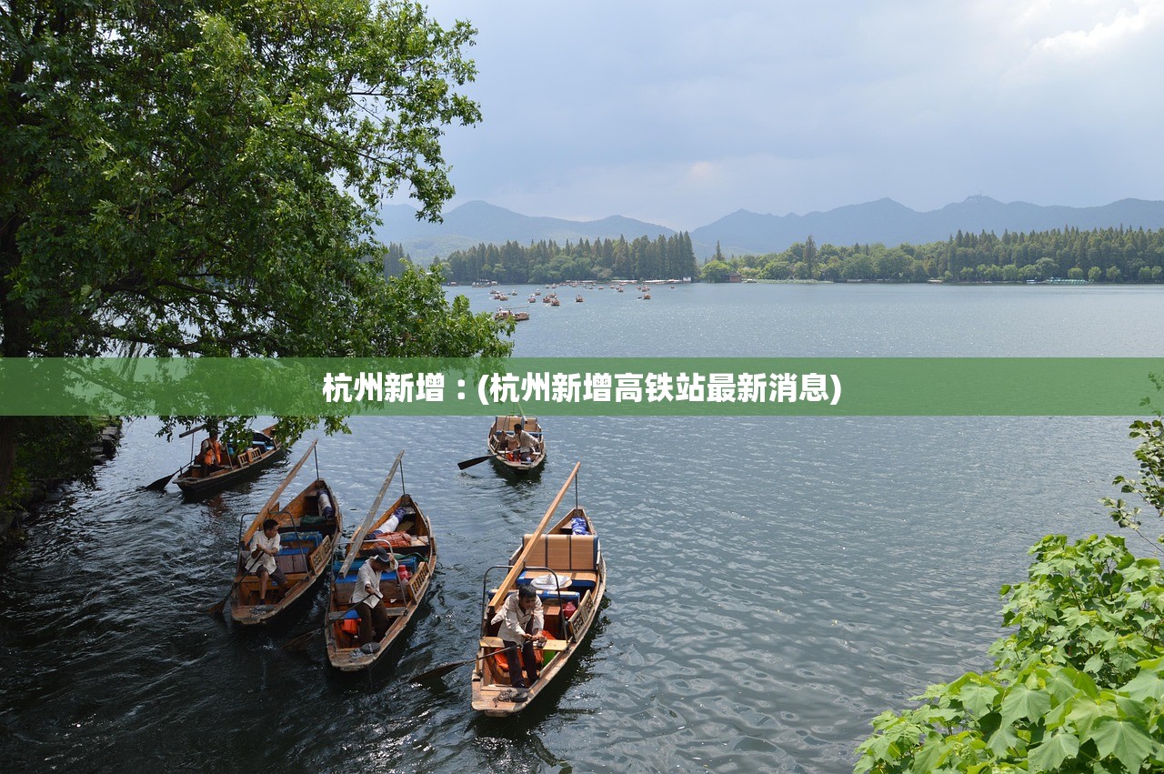 杭州新增︰(杭州新增高铁站最新消息)