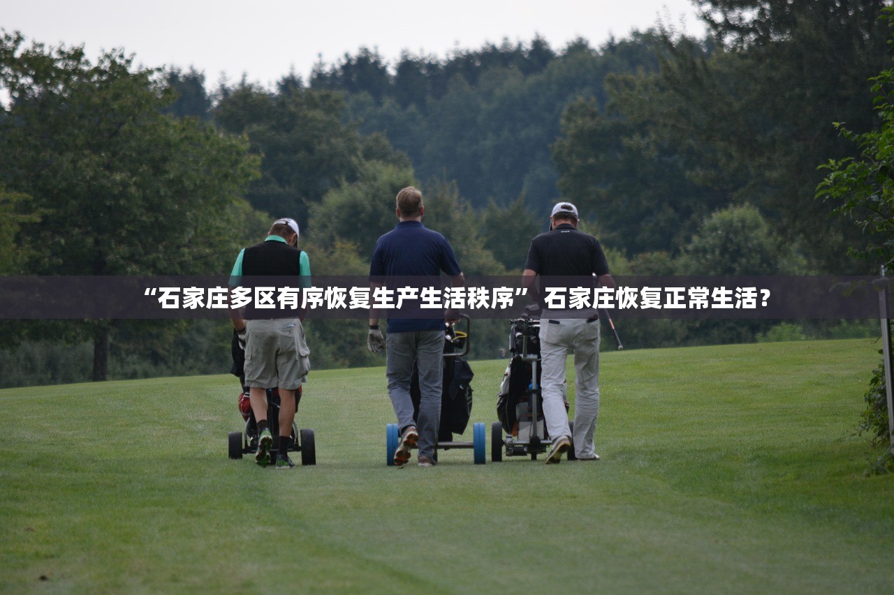 “石家庄多区有序恢复生产生活秩序	” 石家庄恢复正常生活？