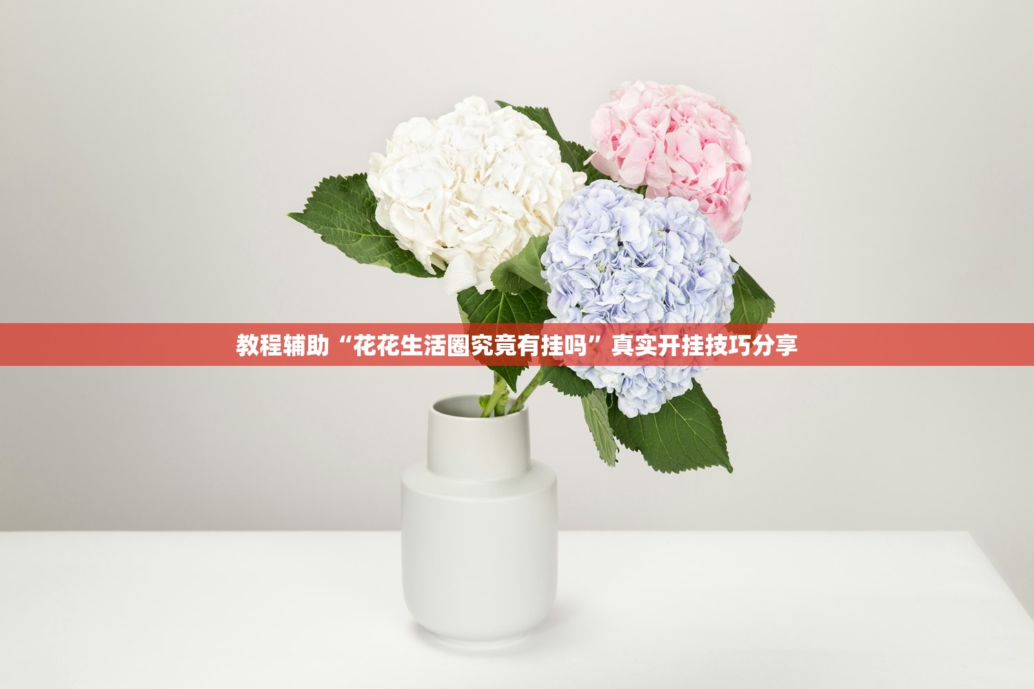 教程辅助“花花生活圈究竟有挂吗”真实开挂技巧分享