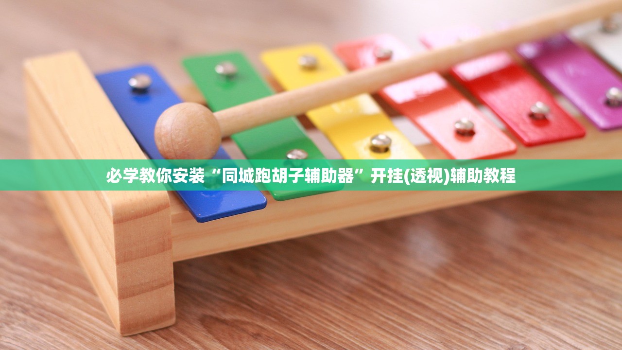 必学教你安装“同城跑胡子辅助器	”开挂(透视)辅助教程