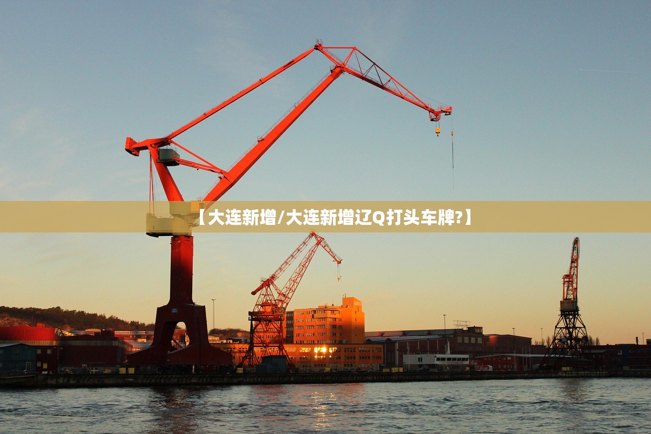 【大连新增/大连新增辽Q打头车牌?】