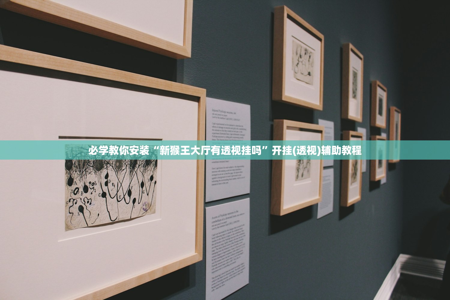 必学教你安装“新猴王大厅有透视挂吗”开挂(透视)辅助教程