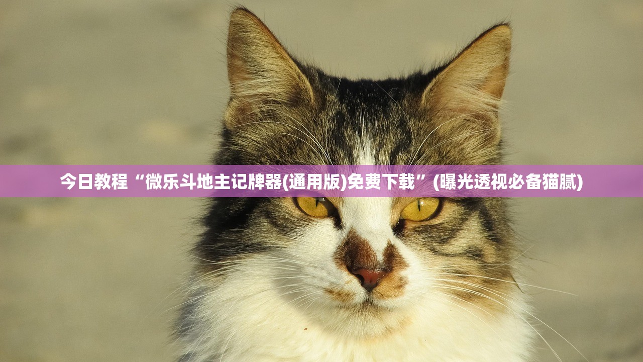 今日教程“微乐斗地主记牌器(通用版)免费下载”(曝光透视必备猫腻)