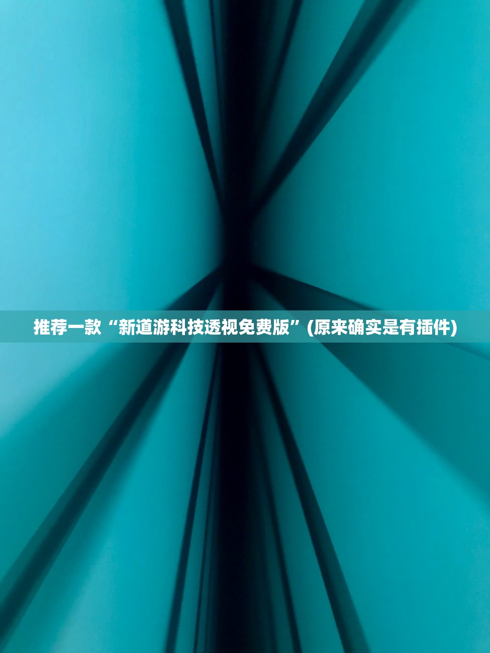 推荐一款“新道游科技透视免费版”(原来确实是有插件)