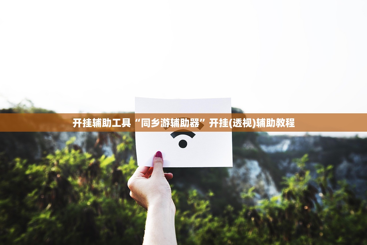 开挂辅助工具“同乡游辅助器”开挂(透视)辅助教程