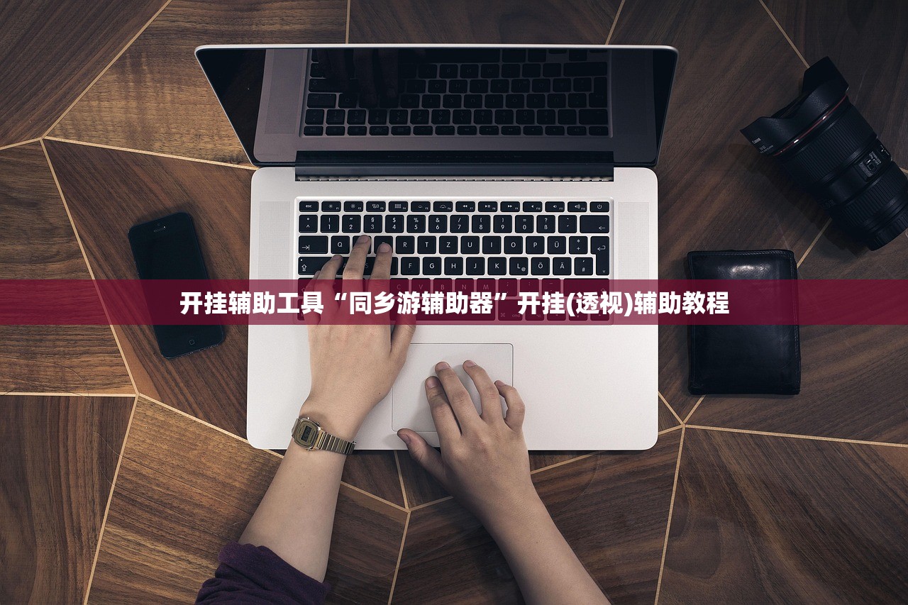 开挂辅助工具“同乡游辅助器	”开挂(透视)辅助教程