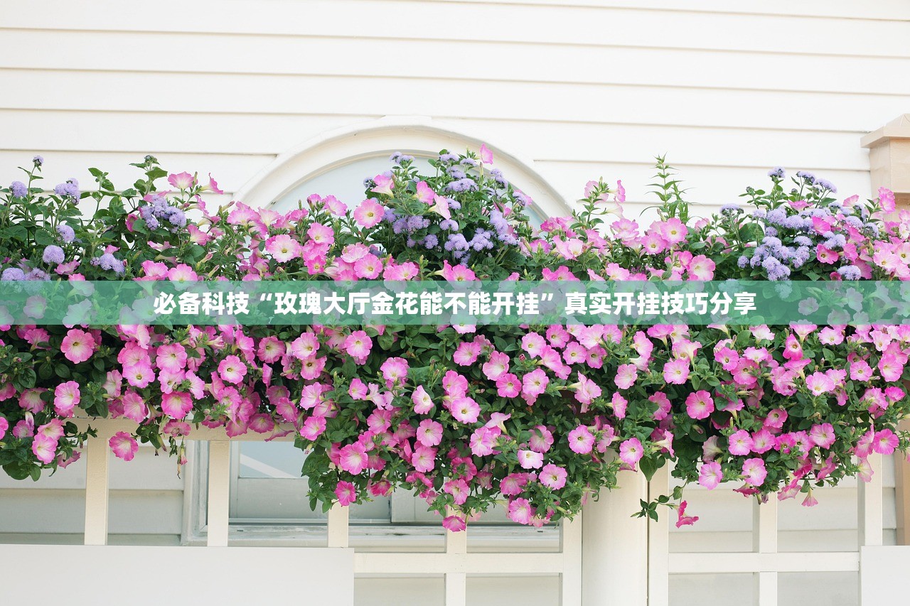 必备科技“玫瑰大厅金花能不能开挂	”真实开挂技巧分享