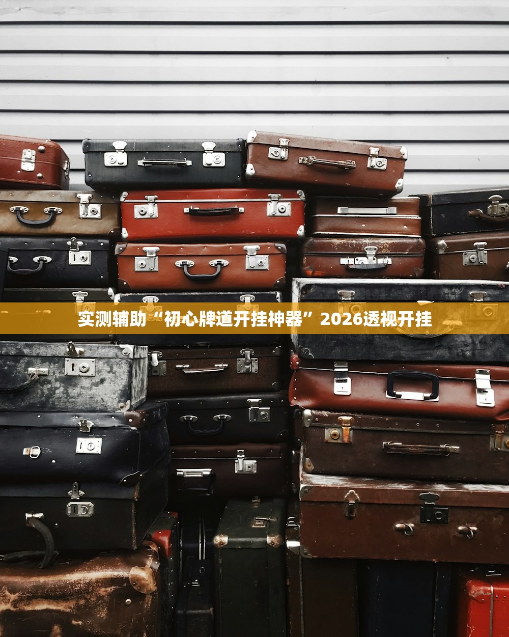 实测辅助“初心牌道开挂神器”2026透视开挂