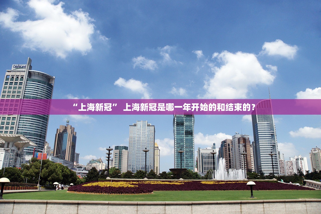 “上海新冠” 上海新冠是哪一年开始的和结束的？