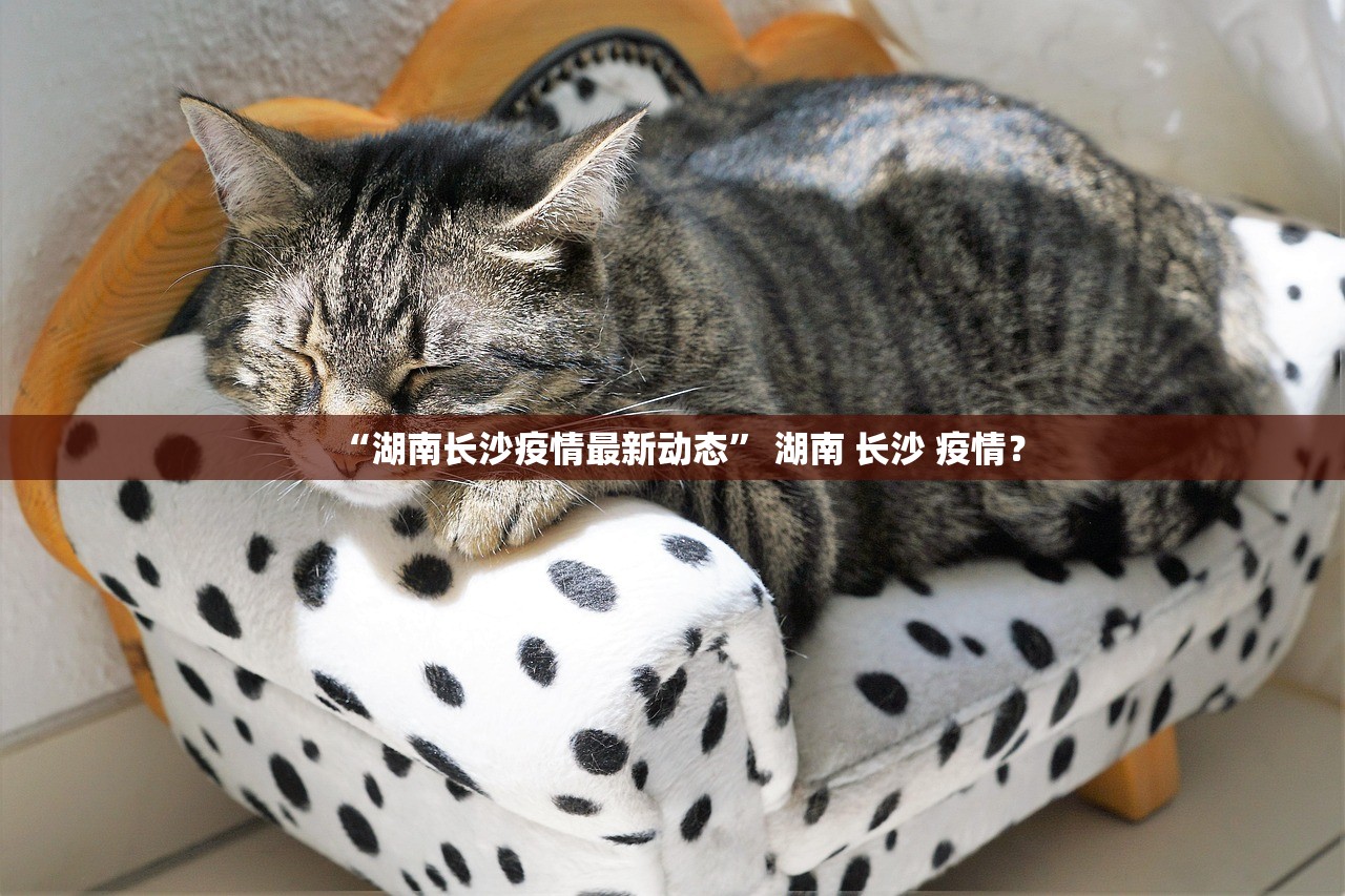 玩家必搜“哈灵斗地主有透视挂吗”详细分享装挂步骤教程