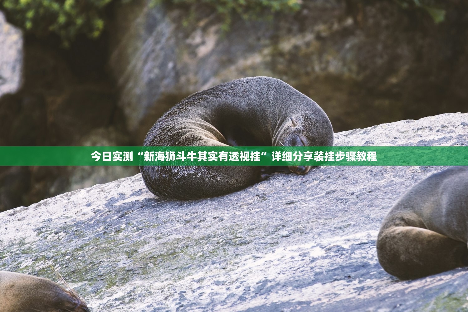 今日实测“新海狮斗牛其实有透视挂”详细分享装挂步骤教程