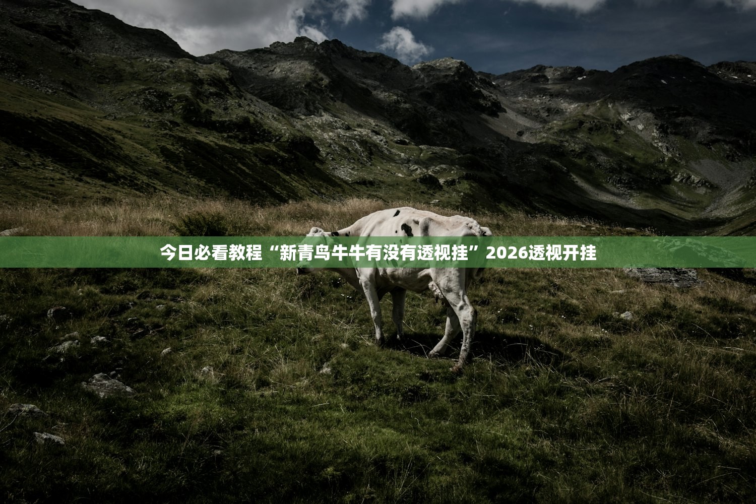 今日必看教程“新青鸟牛牛有没有透视挂”2026透视开挂