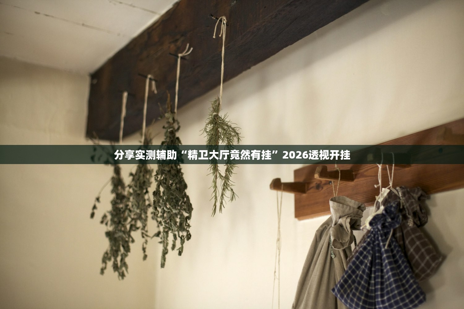 分享实测辅助“精卫大厅竟然有挂”2026透视开挂
