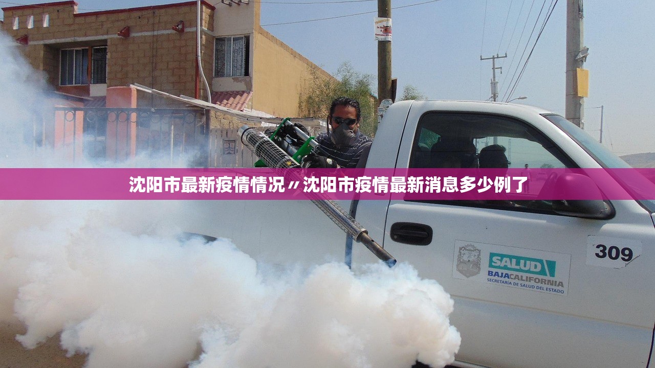 沈阳市最新疫情情况〃沈阳市疫情最新消息多少例了